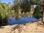 Duck pond area, IMG_8051